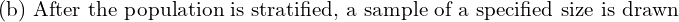  \text{(b) After the population is stratified, a sample of a specified size is drawn} \\