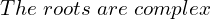 Rendered by QuickLaTeX.com  The \; roots\; are\; complex\\
